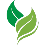 digital video invitations are eco friendly